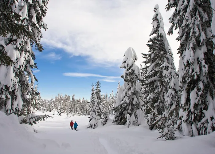 Haus Dabaklamm Accommodatie bij particulieren