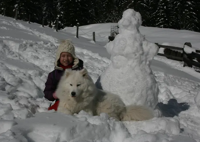 Haus Dabaklamm * Kals-am Großglockner