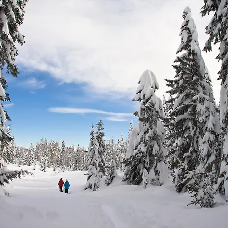 Haus Dabaklamm Rum i privatbostad